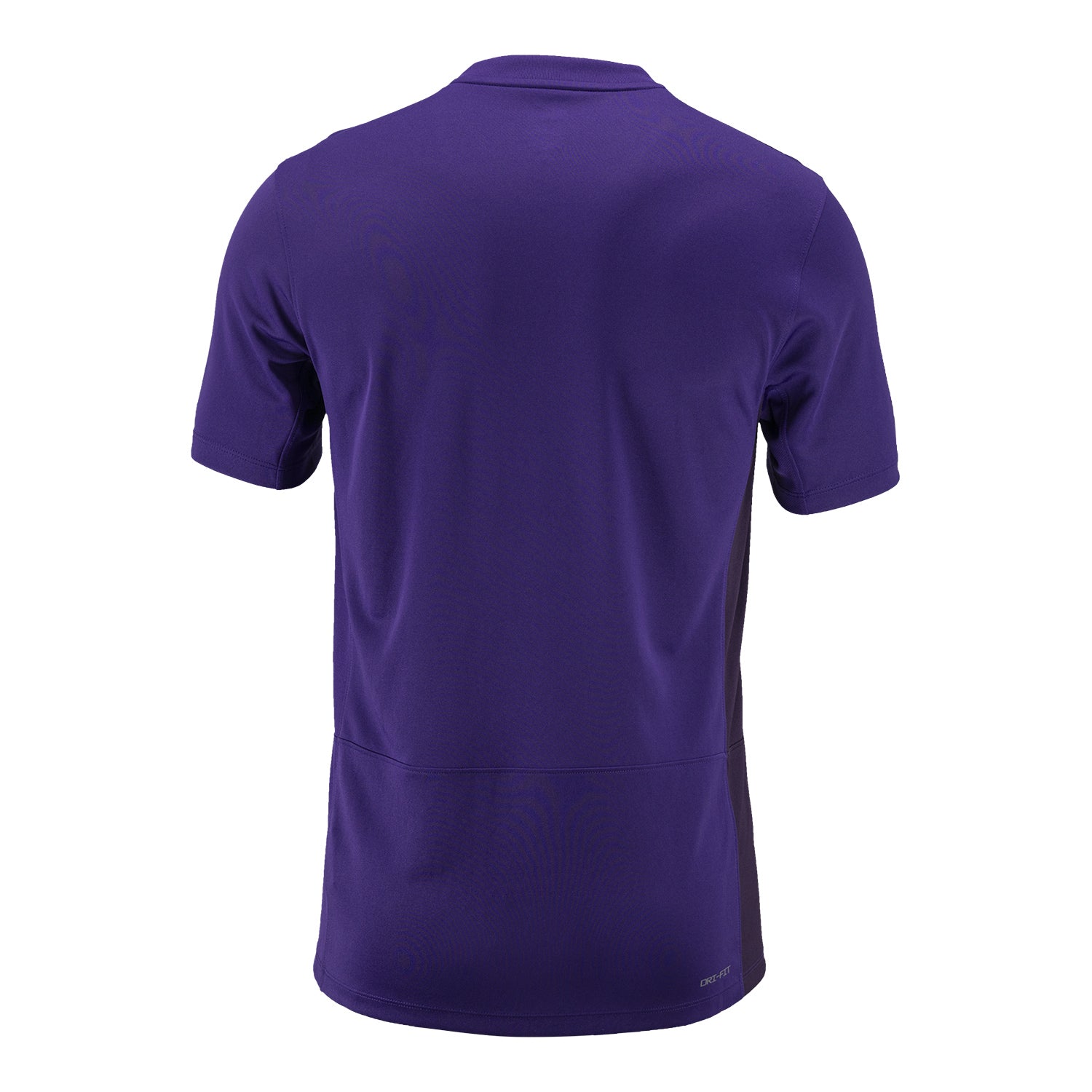 Unisex Nike 2024 Orlando Pride Secondary Phoenix Replica Jersey - Back View